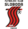 home team logo