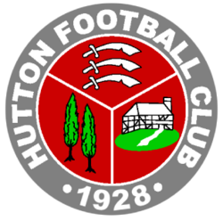 home team logo