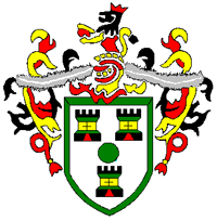 home team logo
