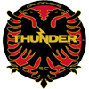 home team logo